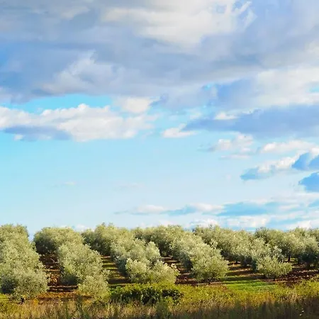 P&b Διαμέρισμα Tar-Vabriga