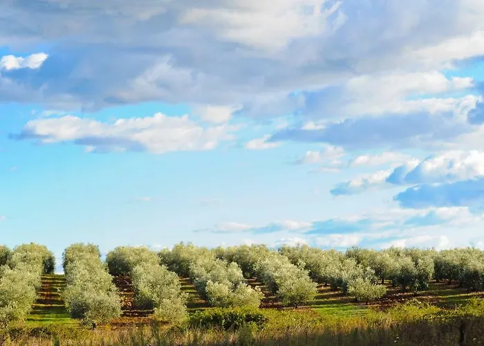 P&b 아파트 Tar-Vabriga